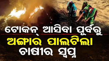 Special Story| ଟୋକନ୍ ଆସିବା ପୂର୍ବରୁ ... ଅଙ୍ଗାର ପାଲଟିଲା ଚାଷୀର ସ୍ୱପ୍ନ| Odisha Reporter