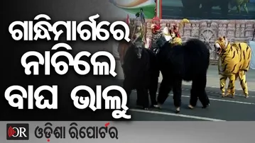 ଗାନ୍ଧିମାର୍ଗରେ ନାଚିଲେ ବାଘ ଭାଲୁ  | Odisha Reporter
