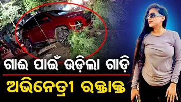 ଗାଈ ପାଇଁ ଉଡ଼ିଲା ଗାଡି, ଅଭିନେତ୍ରୀ ରକ୍ତାକ୍ତ | Odia TV Actress’s Car Accident at KIIT Square |Bhubaneswar