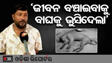 'ଜୀବନ ବଞ୍ଚାଇବାକୁ ବାଘକୁ ଭୁସିଦେଲା' | Odisha Reporter