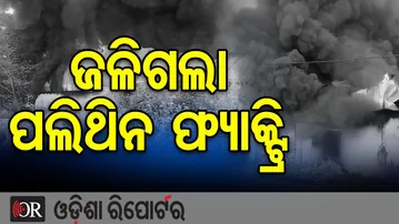 କଟକ ଜଗତପୁର ଗୁଜରପୁରରେ ପଲିଥିନ୍ ଫ୍ୟାକ୍ଟ୍ରିରେ ଅଗ୍ନିକାଣ୍ଡ | Odisha Reporter