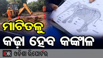 ମାଟିତଳୁ କଢ଼ା ହେବ କଙ୍କାଳ | Odisha Reporter