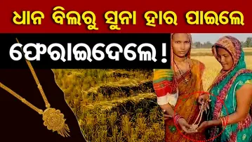 ଧାନ କାଟୁଥିଲେ ବିଲରୁ ପାଇଲେ ସୁନା ହାର !  | Odisha Reporter