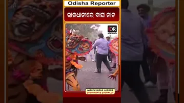 ରାଜଧାନୀରେ ବାଘ ନାଚ | Odisha Reporter