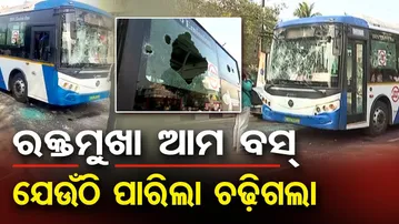 ରକ୍ତମୁଖା ଆମ ବସ, ଯେଉଁଠି ପାରିଲା ଚଢ଼ିଗଲା  | Odisha Reporter