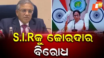 Special Intensive Revision