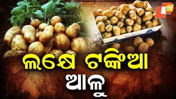 Worlds-Most-Expensive-Potato