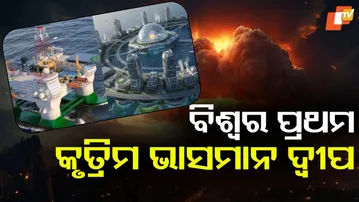 Artificial Floating Island