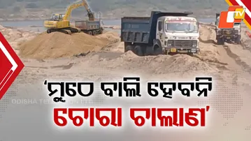 BIG-ACTION-SAND-MAFIA