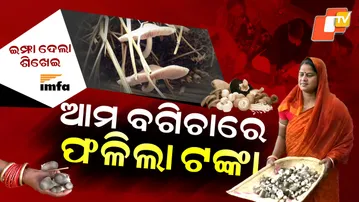 mushroom cultivation