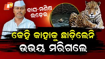 Leopard Attacks Farmer