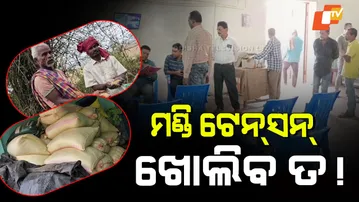 Paddy Mandis Inactive