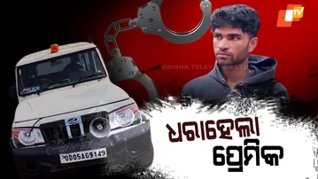 Love Dispute Violence