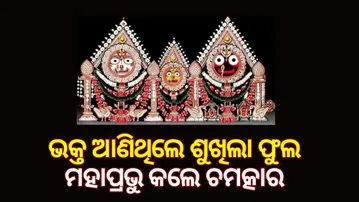 Significance Padma Besha