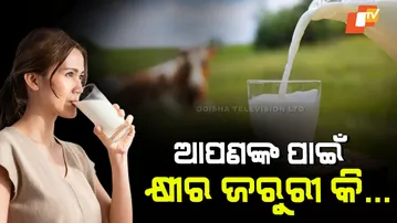 Milk Is Not Healthy for Everyone