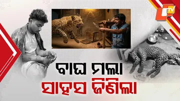Tiger-Human Clash Shocks Odisha