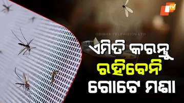 Mosquito Home Remedy