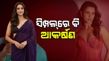 Tripti Dimri Elegant Saree Look