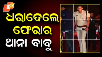 Absconding IIC Surrenders in Court