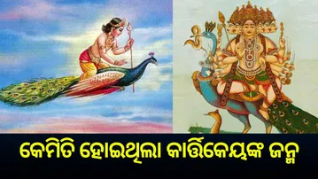 kumar-kartikeya-birth-story