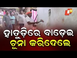 Liquor Mafia Knocked Out: Illegal Distillery in Washed Away by Bulldozer in Saliasahi