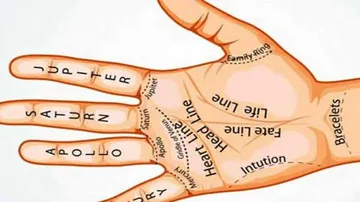 ଆପଣଙ୍କ ହାତରେ ଏହିସବୁ ଚିହ୍ନ ଅଛି କି? ତେବେ ଆପଣ ଭାଗ୍ୟଶାଳୀ