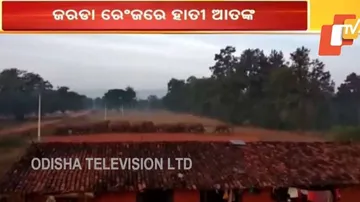 ନିଦ ହଜାଉଛନ୍ତି ହାତୀ ପଲ୍ଲ