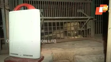 ପଶୁଙ୍କୁ ଶୀତରୁ ରକ୍ଷା କରିବା ପାଇଁ ଚିଡ଼ିଆଖାନାରେ ଲାଗିଲା ହିଟର