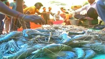 ମଙ୍ଗଳବାରରେ ମାନ୍ଦା ପଡ଼ିଗଲା ଛାଡ଼ଖାଇ !