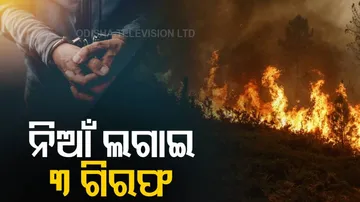 ଜଙ୍ଗଲରେ ନିଆଁ ଲଗାଉଥିବା ବେଳେ ୩ ଗିରଫ