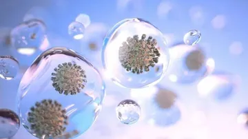 ୨୦୧୬-୧୭ରେ ବ୍ୟାପୀଥିଲା କରୋନା ଭାଇରସ୍!