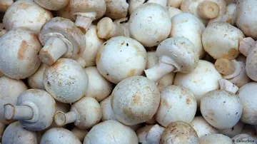 ଶରୀରରେ ଭିଟାମିନ୍‌ Dର ପୂରଣ କରିଥାଏ ଛତୁ, ଜାଣନ୍ତୁ ଏହାର ଫାଇଦା