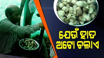 ଛତୁ ଚାଷ କରି ଗାଁକୁ ଦେଲେ ନୂଆ ପରିଚୟ