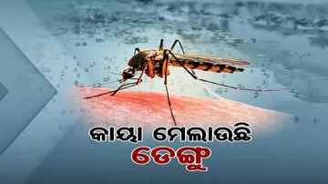ଜ୍ୱର ହେଲେ ମେଡ଼ିକାଲ ରେ ହେବ ୨ ଟେଷ୍ଟ, ଚିନ୍ତା ବଢାଉଛି ଡେଙ୍ଗୁ