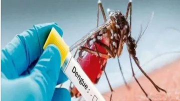 ଡେଙ୍ଗୁ ରୋଗୀଙ୍କ ପାଇଁ ଅଭାବ ନାହିଁ ବେଡ୍: ଡାକ୍ତର ଲକ୍ଷ୍ମୀଧର ସାହୁ