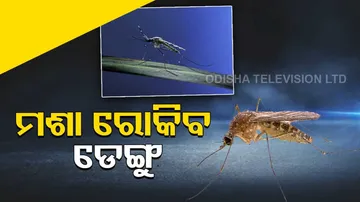 Dengue