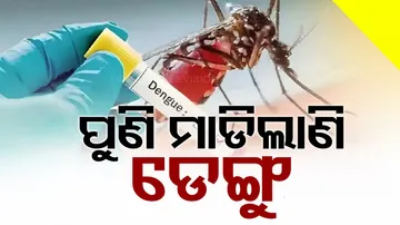 Dengue Cases Detected In Odisha