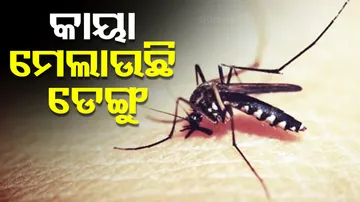 Dengue