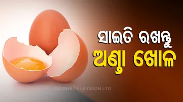 Health Benefits Of Eggshells