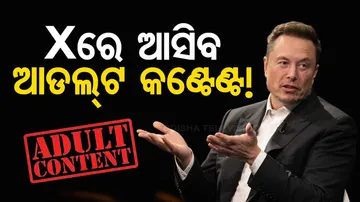 X Test Adult Content Communities For Users