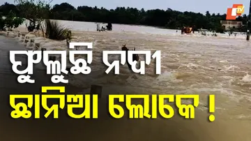 Flood