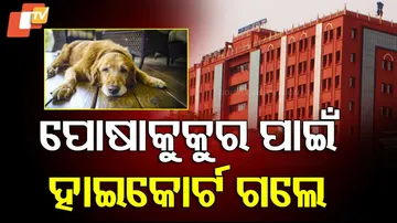 Highcourt