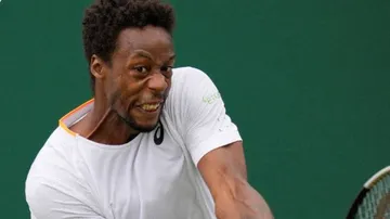 ୱିମ୍ବିଲ୍‌ଡନ ଟେନିସ ଚାମ୍ପିୟନସିପ: କିଛି ଝଲକ୍‌