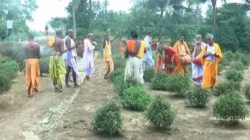 ଏହି ସ୍ଥାନରୁ ତୁଳସୀ ଗଲେ ମହାପ୍ରଭୁଙ୍କର ହୁଏ ନୀତିକାନ୍ତି