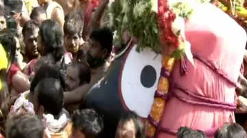 ପଡ଼ୁଛି ଆଲଟ, ଚାମର: ଦଇତାଙ୍କ କାନ୍ଧରେ ଝୁଲି ଝୁଲି ଆସୁଛି କାଳିଆ ସାଆନ୍ତ