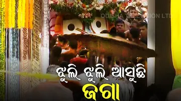 ପଡ଼ୁଛି ଆଲଟ, ଚାମର: ଦଇତାଙ୍କ କାନ୍ଧରେ ଝୁଲି ଝୁଲି ଆସୁଛି କାଳିଆ ସାଆନ୍ତ