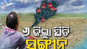 ସ୍ୱାଭାବିକରୁ ଅଧିକ ବର୍ଷା ପୂର୍ବାନୁମାନ ସତ୍ତ୍ୱେ ମୌସୁମୀର ଲୁଚକାଳି ଖେଳ : ରାଜ୍ୟର ୧୯ ଜିଲ୍ଲାରେ ନିଅଣ୍ଟିଆ ବୃଷ୍ଟିପାତ