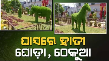 ରାଜ୍ୟର ପ୍ରଥମ ଗ୍ରାସଆର୍ଟ ପାର୍କ,ସେଲ୍ଫି ନେବାକୁ ଜମୁଛି ଭିଡ଼