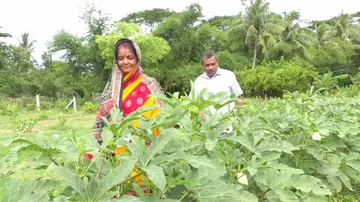 ଲକଡାଉନ୍ ସମୟର ସଦୁପଯୋଗ : ଭଳିକି ଭଳି ଫଳ ଓ ପନିପରିବାରେ ହସୁଛି ରାଜେନ୍ଦ୍ରଙ୍କ ବଗିଚା