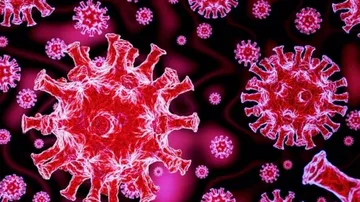 ଦିନକରେ ଓଡ଼ିଶାରେ ୧୮୬୪ କରୋନା ସଂକ୍ରମିତ ଚିହ୍ନଟ, କେବଳ ଖୋର୍ଦ୍ଧାରୁ ବାହାରିଲେ ୪୯୬